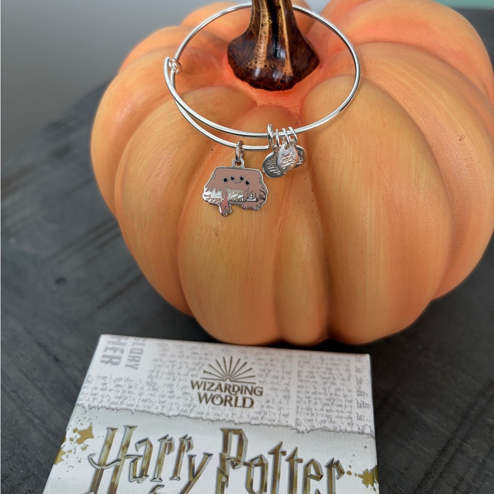 Alex and Ani Harry Potter book of monsters bangle